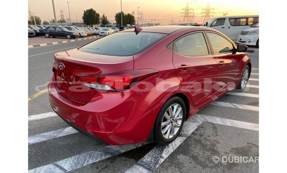 Buy Import Hyundai Elantra Red Car in Import - Dubai in Abseron Buy Import Hyundai Elantra Red Car in Import - Dubai in Abseron
