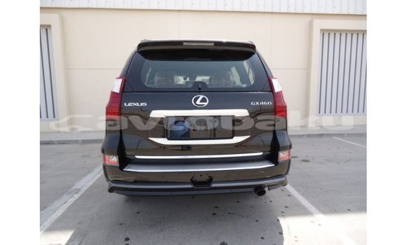Buy Import Lexus LX Black Car in Import - Dubai in Abseron Buy Import Lexus LX Black Car in Import - Dubai in Abseron