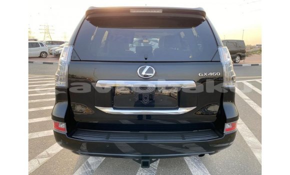 Buy Import Lexus GX Black Car in Import - Dubai in Abseron Buy Import Lexus GX Black Car in Import - Dubai in Abseron