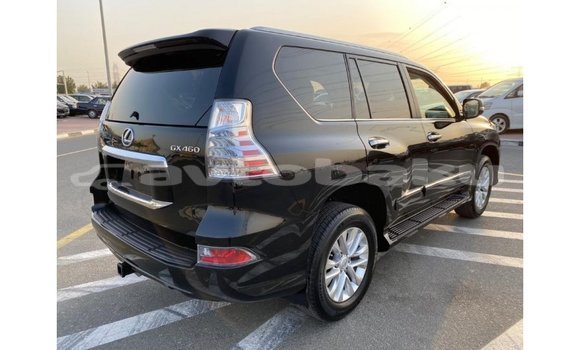 Buy Import Lexus GX Black Car in Import - Dubai in Abseron Buy Import Lexus GX Black Car in Import - Dubai in Abseron