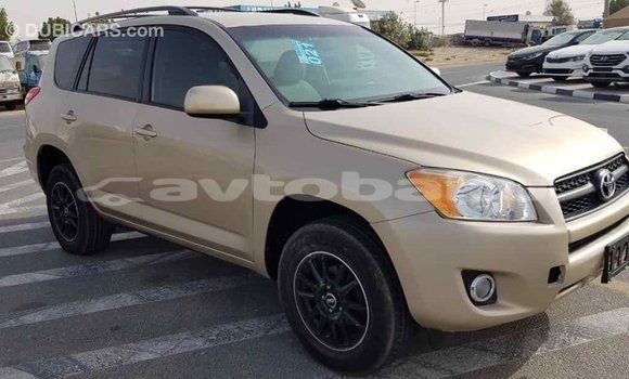 Buy Import Toyota RAV4 Other Car in Import - Dubai in Abseron Buy Import Toyota RAV4 Other Car in Import - Dubai in Abseron