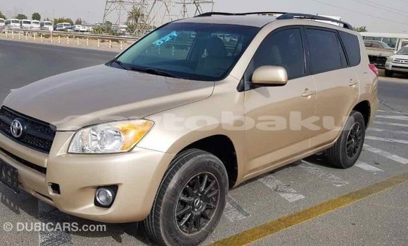 Buy Import Toyota RAV4 Other Car in Import - Dubai in Abseron Buy Import Toyota RAV4 Other Car in Import - Dubai in Abseron