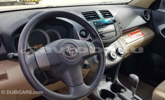 Buy Import Toyota RAV4 Other Car in Import - Dubai in Abseron Buy Import Toyota RAV4 Other Car in Import - Dubai in Abseron