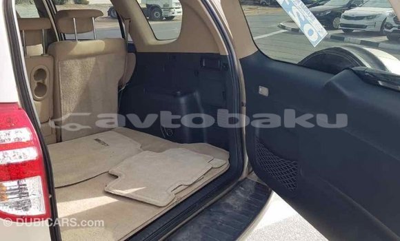 Buy Import Toyota RAV4 Other Car in Import - Dubai in Abseron Buy Import Toyota RAV4 Other Car in Import - Dubai in Abseron