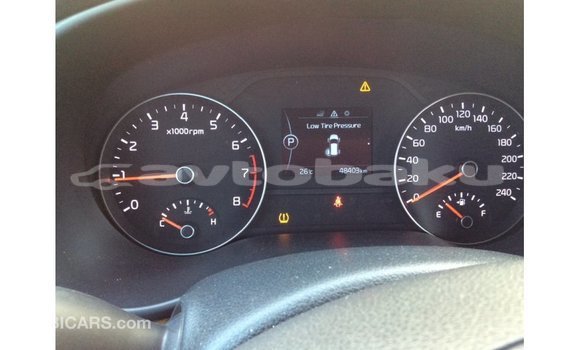 Buy Import Kia Sportage Blue Car in Import - Dubai in Abseron Buy Import Kia Sportage Blue Car in Import - Dubai in Abseron