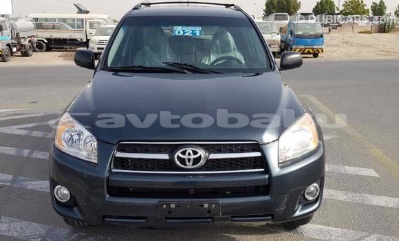 Buy Import Toyota RAV4 Green Car in Import - Dubai in Abseron Buy Import Toyota RAV4 Green Car in Import - Dubai in Abseron