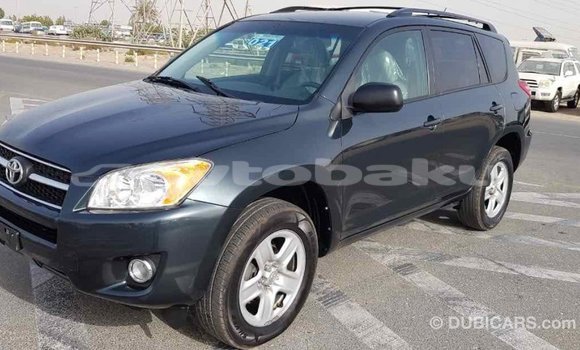 Buy Import Toyota RAV4 Green Car in Import - Dubai in Abseron Buy Import Toyota RAV4 Green Car in Import - Dubai in Abseron