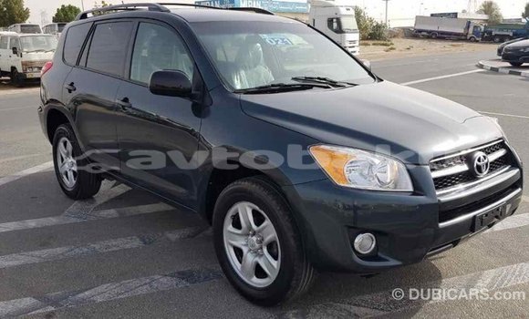 Buy Import Toyota RAV4 Green Car in Import - Dubai in Abseron Buy Import Toyota RAV4 Green Car in Import - Dubai in Abseron