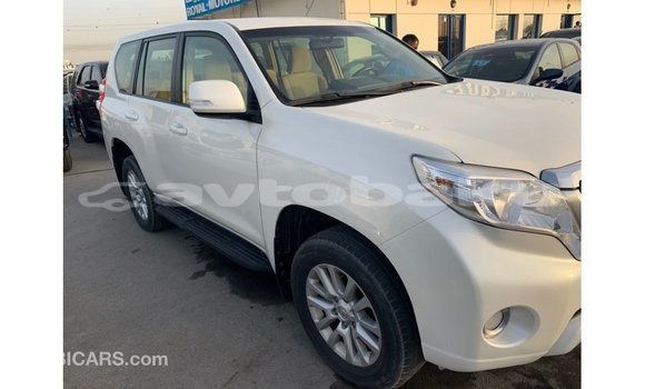 Buy Import Toyota Prado White Car in Import - Dubai in Abseron Buy Import Toyota Prado White Car in Import - Dubai in Abseron
