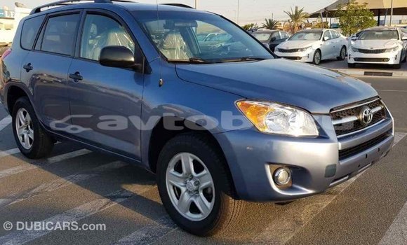 Buy Import Toyota RAV4 Blue Car in Import - Dubai in Abseron Buy Import Toyota RAV4 Blue Car in Import - Dubai in Abseron