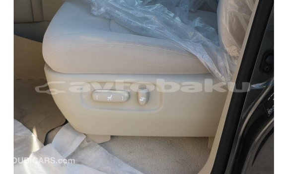 Buy Import Toyota Land Cruiser Black Car in Import - Dubai in Abseron Buy Import Toyota Land Cruiser Black Car in Import - Dubai in Abseron