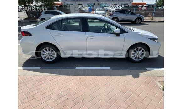 Buy Import Toyota Corolla White Car in Import - Dubai in Abseron Buy Import Toyota Corolla White Car in Import - Dubai in Abseron