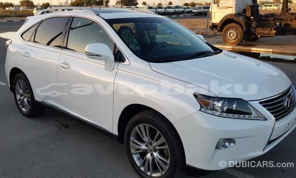 Buy Import Lexus RX 350 White Car in Import - Dubai in Abseron Buy Import Lexus RX 350 White Car in Import - Dubai in Abseron