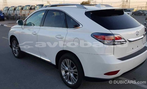 Buy Import Lexus RX 350 White Car in Import - Dubai in Abseron Buy Import Lexus RX 350 White Car in Import - Dubai in Abseron