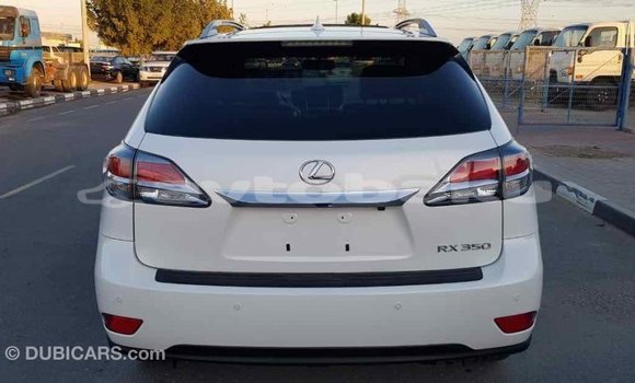 Buy Import Lexus RX 350 White Car in Import - Dubai in Abseron Buy Import Lexus RX 350 White Car in Import - Dubai in Abseron