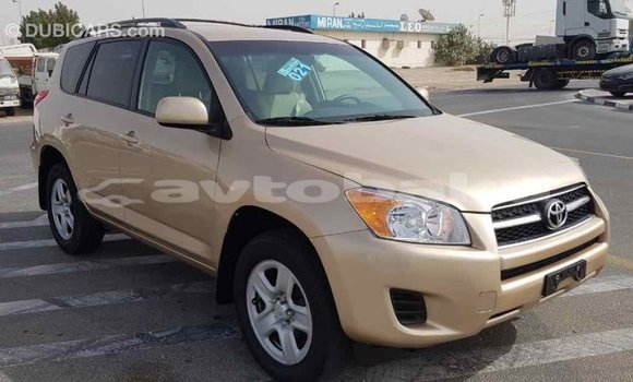 Buy Import Toyota RAV4 Other Car in Import - Dubai in Abseron Buy Import Toyota RAV4 Other Car in Import - Dubai in Abseron
