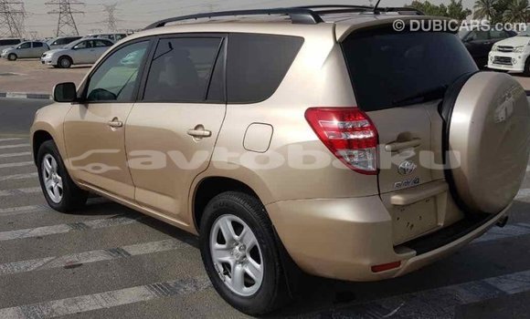 Buy Import Toyota RAV4 Other Car in Import - Dubai in Abseron Buy Import Toyota RAV4 Other Car in Import - Dubai in Abseron