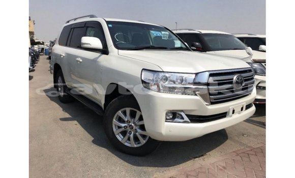 Buy Import Toyota Land Cruiser White Car in Import - Dubai in Abseron Buy Import Toyota Land Cruiser White Car in Import - Dubai in Abseron