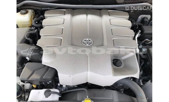 Buy Import Toyota Land Cruiser White Car in Import - Dubai in Abseron Buy Import Toyota Land Cruiser White Car in Import - Dubai in Abseron
