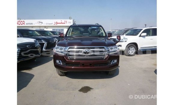 Buy Import Toyota Land Cruiser Brown Car in Import - Dubai in Abseron Buy Import Toyota Land Cruiser Brown Car in Import - Dubai in Abseron