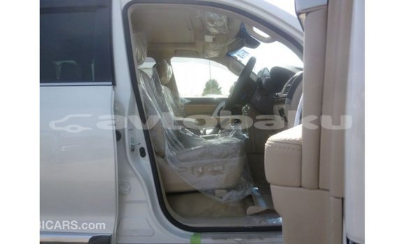 Buy Import Toyota Land Cruiser White Car in Import - Dubai in Abseron Buy Import Toyota Land Cruiser White Car in Import - Dubai in Abseron