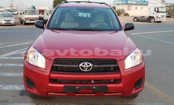 Buy Import Toyota RAV4 Red Car in Import - Dubai in Abseron Buy Import Toyota RAV4 Red Car in Import - Dubai in Abseron