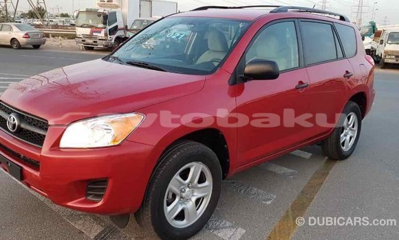 Buy Import Toyota RAV4 Red Car in Import - Dubai in Abseron Buy Import Toyota RAV4 Red Car in Import - Dubai in Abseron