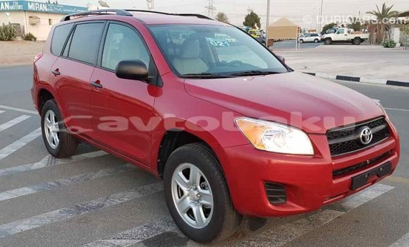Buy Import Toyota RAV4 Red Car in Import - Dubai in Abseron Buy Import Toyota RAV4 Red Car in Import - Dubai in Abseron