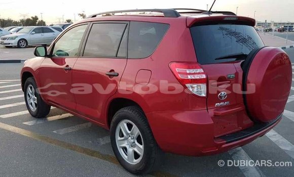 Buy Import Toyota RAV4 Red Car in Import - Dubai in Abseron Buy Import Toyota RAV4 Red Car in Import - Dubai in Abseron