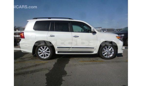 Buy Import Toyota Land Cruiser White Car in Import - Dubai in Abseron Buy Import Toyota Land Cruiser White Car in Import - Dubai in Abseron