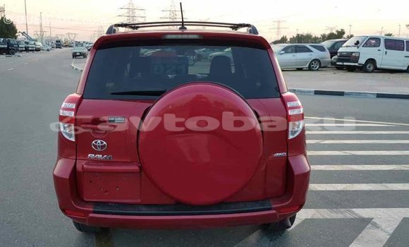 Buy Import Toyota RAV4 Red Car in Import - Dubai in Abseron Buy Import Toyota RAV4 Red Car in Import - Dubai in Abseron