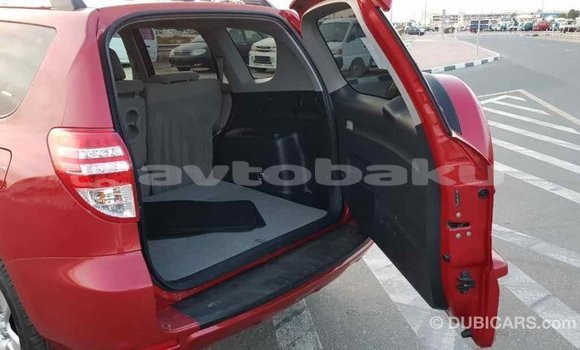 Buy Import Toyota RAV4 Red Car in Import - Dubai in Abseron Buy Import Toyota RAV4 Red Car in Import - Dubai in Abseron