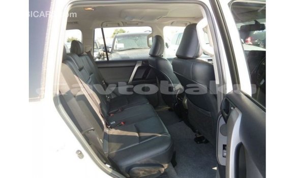 Buy Import Toyota Prado White Car in Import - Dubai in Abseron Buy Import Toyota Prado White Car in Import - Dubai in Abseron