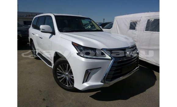 Buy Import Lexus LX White Car in Import - Dubai in Abseron Buy Import Lexus LX White Car in Import - Dubai in Abseron