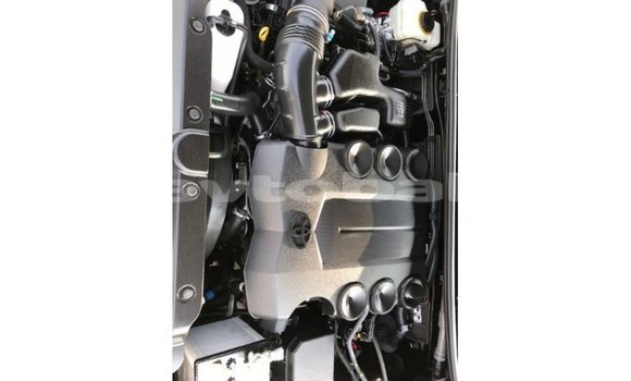 Buy Import Toyota Prado Black Car in Import - Dubai in Abseron Buy Import Toyota Prado Black Car in Import - Dubai in Abseron