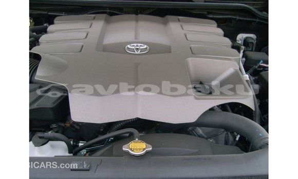 Buy Import Toyota Land Cruiser Black Car in Import - Dubai in Abseron Buy Import Toyota Land Cruiser Black Car in Import - Dubai in Abseron