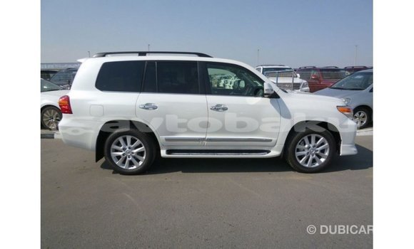 Buy Import Toyota Land Cruiser White Car in Import - Dubai in Abseron Buy Import Toyota Land Cruiser White Car in Import - Dubai in Abseron