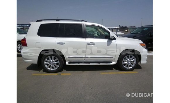 Buy Import Toyota Land Cruiser White Car in Import - Dubai in Abseron Buy Import Toyota Land Cruiser White Car in Import - Dubai in Abseron
