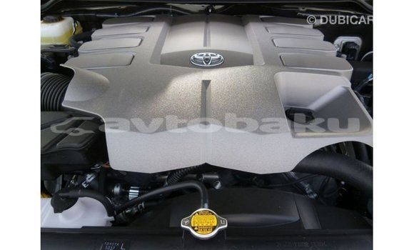 Buy Import Toyota Land Cruiser White Car in Import - Dubai in Abseron Buy Import Toyota Land Cruiser White Car in Import - Dubai in Abseron