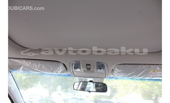 Buy Import Kia Sportage Black Car in Import - Dubai in Abseron