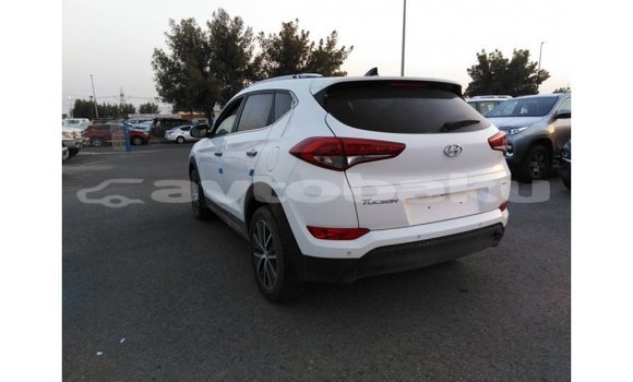 Buy Import Hyundai Tucson White Car in Import - Dubai in Abseron Buy Import Hyundai Tucson White Car in Import - Dubai in Abseron