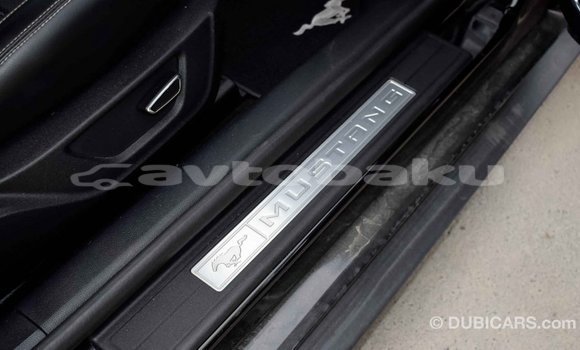 Buy Import Ford Mustang Black Car in Import - Dubai in Abseron Buy Import Ford Mustang Black Car in Import - Dubai in Abseron