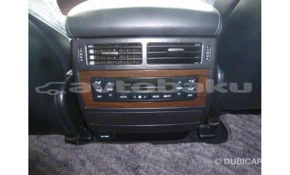 Buy Import Toyota Land Cruiser Black Car in Import - Dubai in Abseron Buy Import Toyota Land Cruiser Black Car in Import - Dubai in Abseron