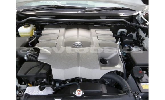 Buy Import Toyota Land Cruiser White Car in Import - Dubai in Abseron Buy Import Toyota Land Cruiser White Car in Import - Dubai in Abseron