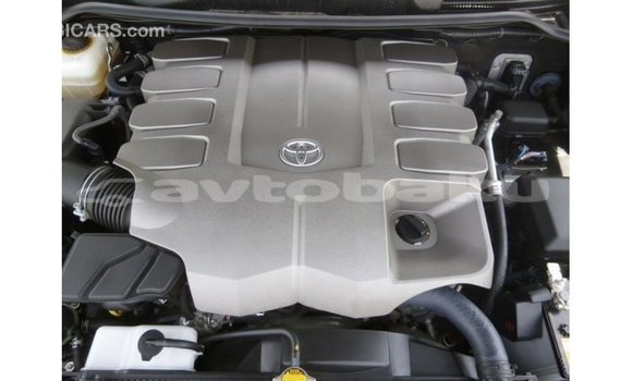 Buy Import Toyota Land Cruiser Black Car in Import - Dubai in Abseron Buy Import Toyota Land Cruiser Black Car in Import - Dubai in Abseron