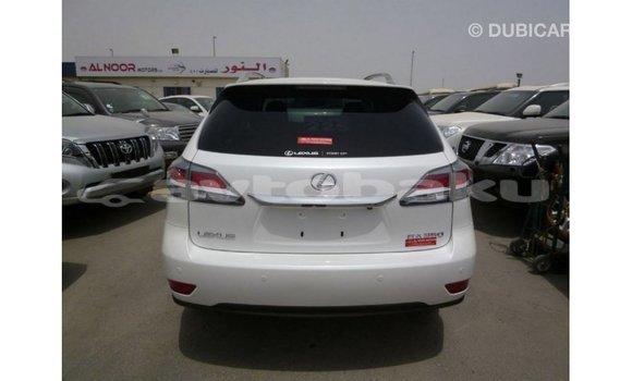 Buy Import Lexus RX 350 White Car in Import - Dubai in Abseron Buy Import Lexus RX 350 White Car in Import - Dubai in Abseron