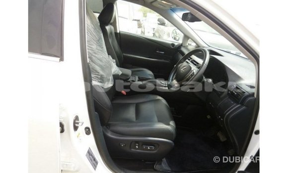 Buy Import Lexus RX 350 White Car in Import - Dubai in Abseron Buy Import Lexus RX 350 White Car in Import - Dubai in Abseron