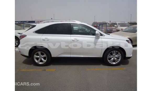Buy Import Lexus RX 350 White Car in Import - Dubai in Abseron Buy Import Lexus RX 350 White Car in Import - Dubai in Abseron