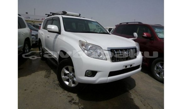 Buy Import Toyota Prado White Car in Import - Dubai in Abseron Buy Import Toyota Prado White Car in Import - Dubai in Abseron