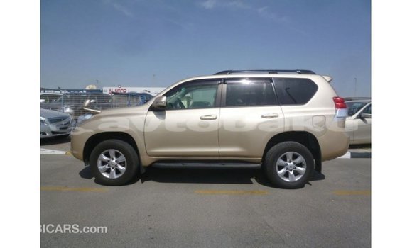 Buy Import Toyota Prado Other Car in Import - Dubai in Abseron Buy Import Toyota Prado Other Car in Import - Dubai in Abseron